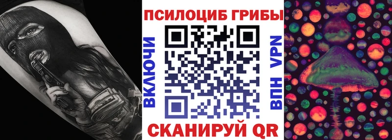 Купить где  Кемерово  Псилоцибиновые грибы GOLDEN TEACHER 